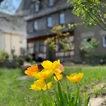 Ferienpark Altes Zehnthaus Geierlay *