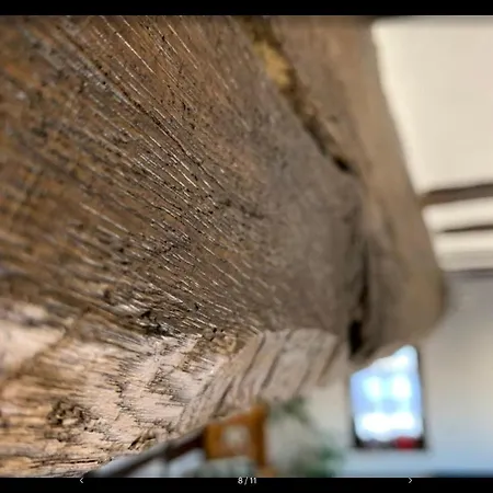 Semesterpark Altes Zehnthaus Geierlay Mittelstrimmig