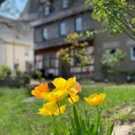 Semesterpark Altes Zehnthaus Geierlay *