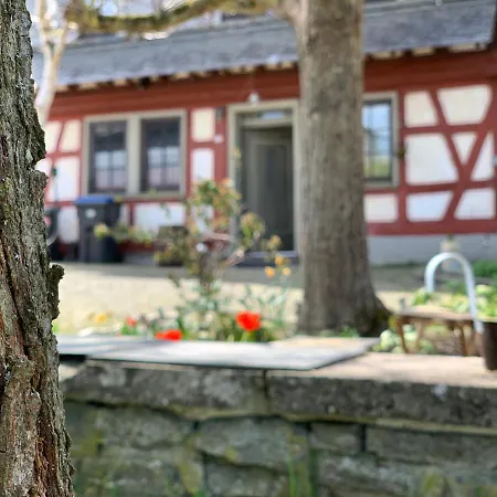 Vakantiepark Altes Zehnthaus Geierlay