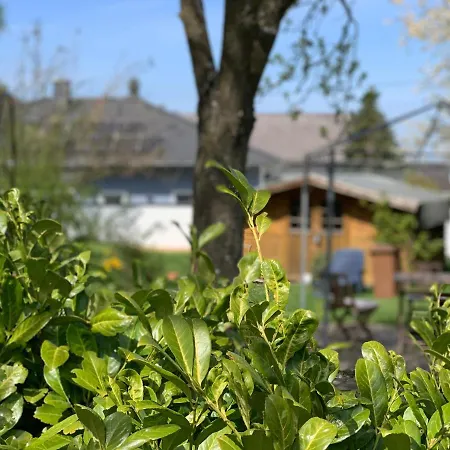 Altes Zehnthaus Geierlay Parque de vacaciones Mittelstrimmig
