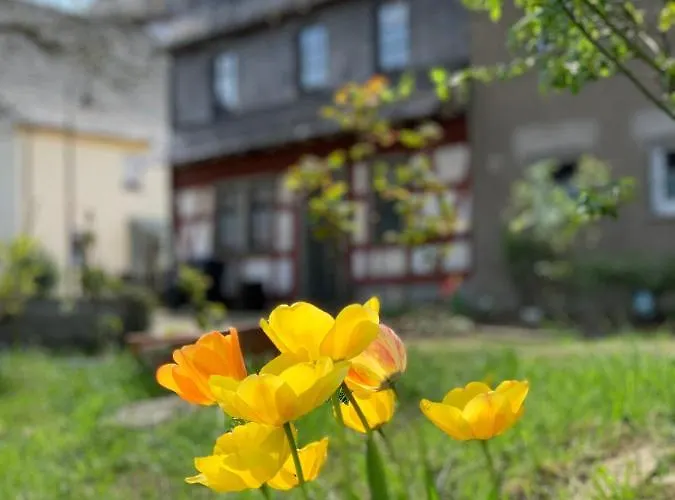 Πάρκο διακοπών Altes Zehnthaus Geierlay *