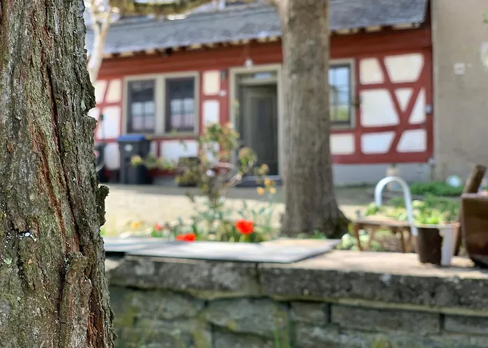 Πάρκο διακοπών Altes Zehnthaus Geierlay